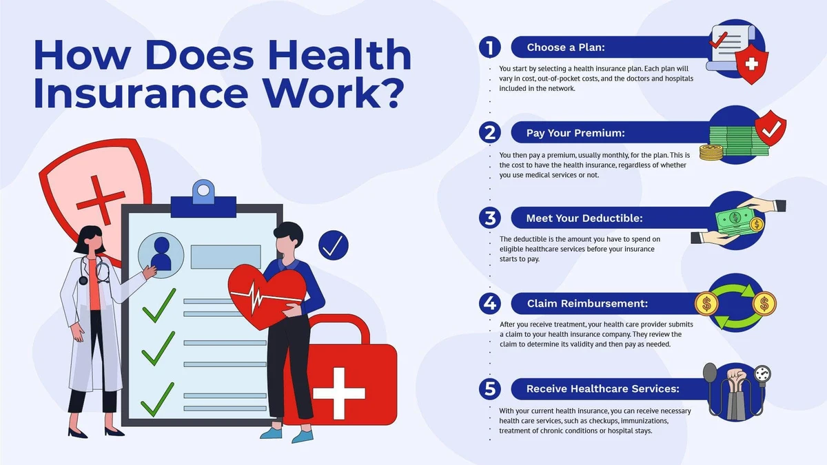 Health Insurance Explained: How to Calculate True Costs
